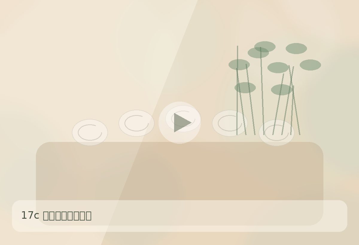 17c17c品牌札记生活视频杂志生活视频场景